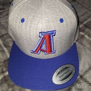 University of Arizona hat Gray 210 Fitted Flexfit Tech Snapback style